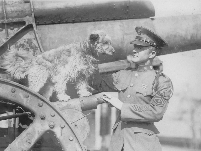 Historical black-and-white photograph of Rags standing on an artillery piece beside Sergeant George Hickman.