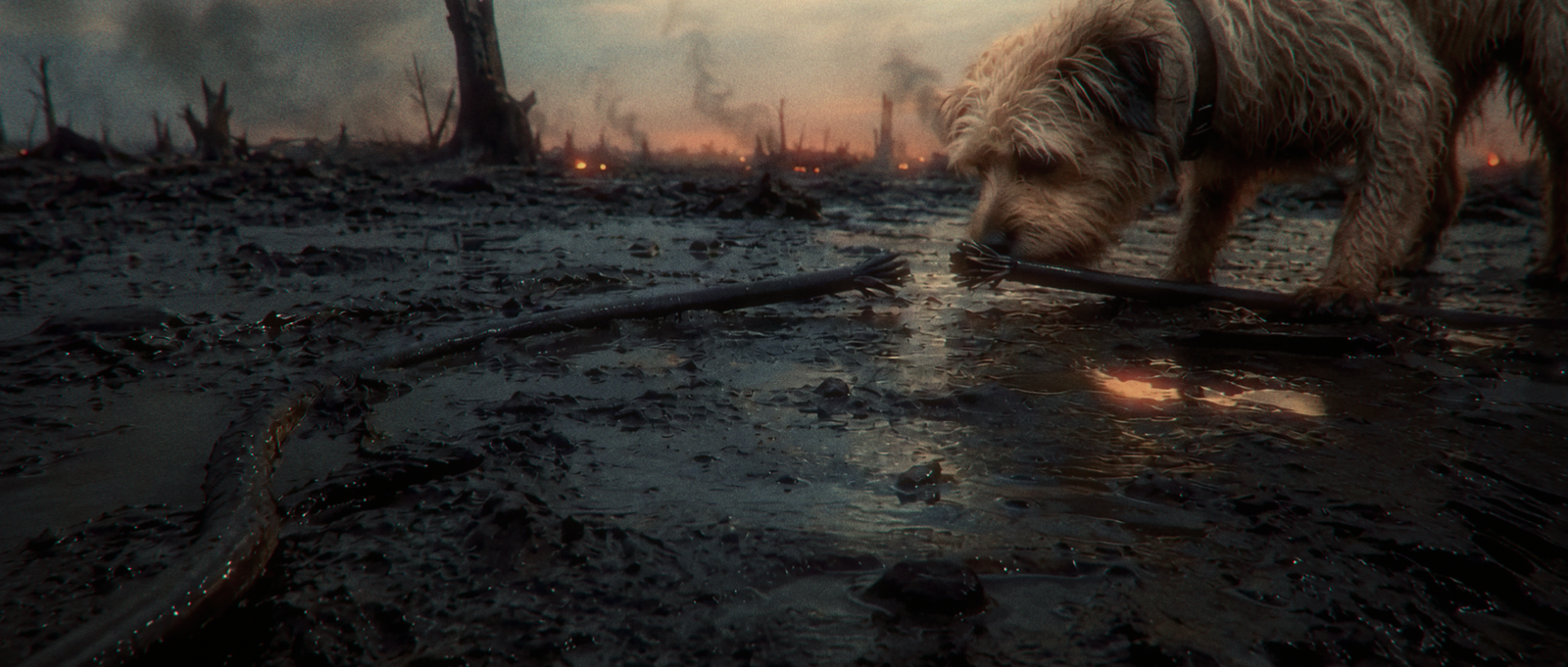 Rags finding a severed field wire in the mud.